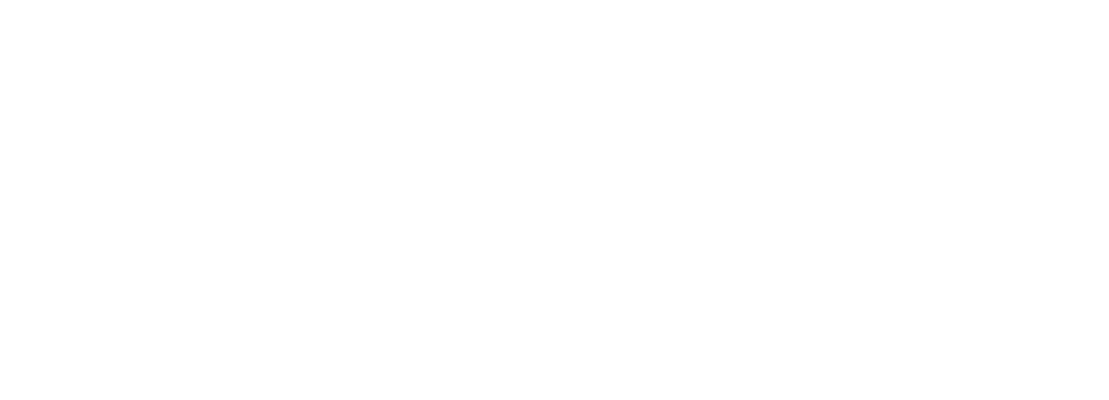 Bader Logoweiss